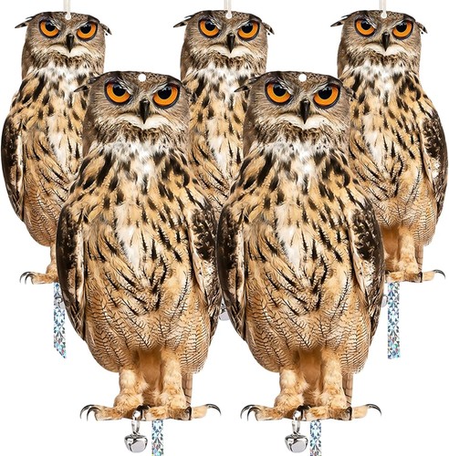 5pcs owl bird - bird, set