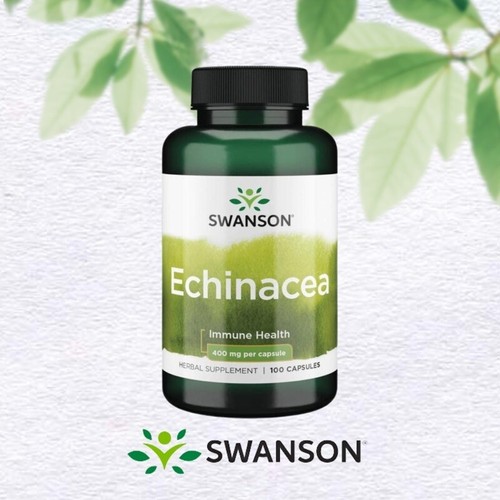 Swansons echinacea 400mg - swansons, x