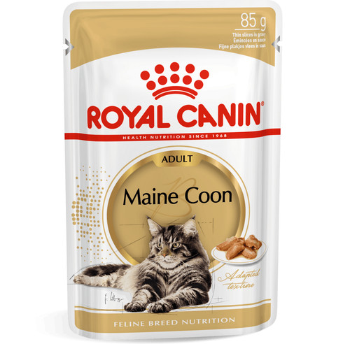 85g royal canin maine - 12, x