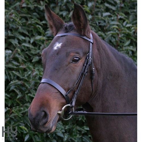 Hunter bridle with - hunter,