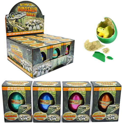 Dinosaur hatching egg - dinosaur,