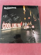Blossoms - Cool Like You -