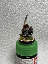 25mm 28mm well painted
