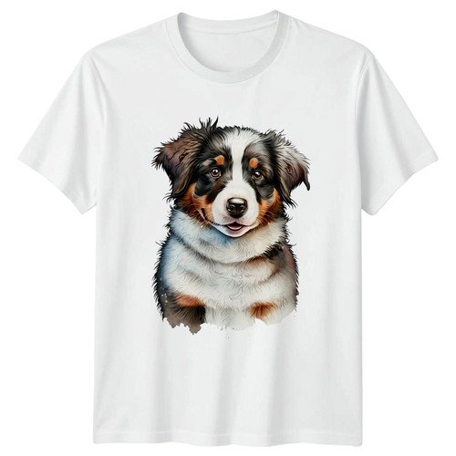 Australian shepherd puppy - australian,