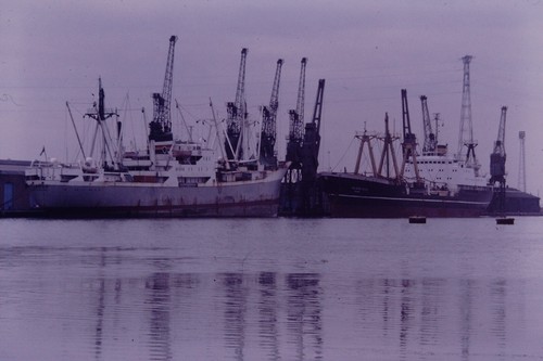 1979 jalamatsya newport - jalamatsya,