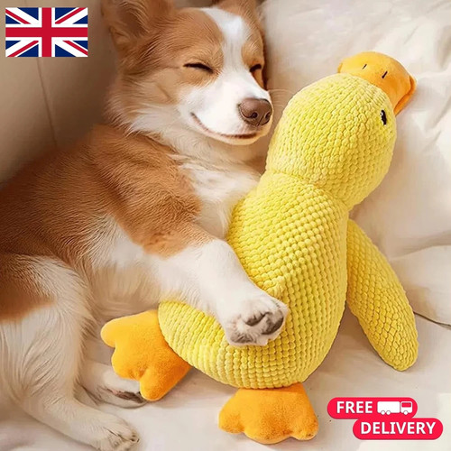 Pet dog chew toys calming - calming, duck