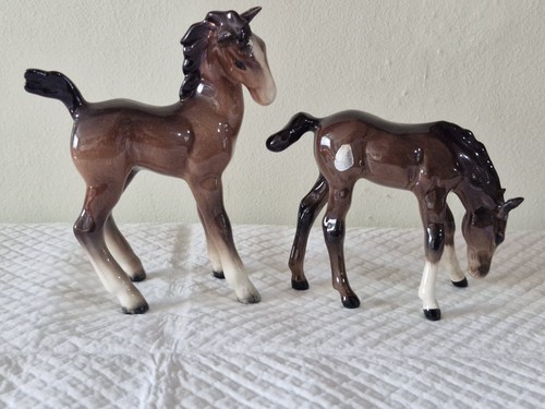 Beswick comical foal 728 946 - foal,