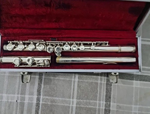 Flute musical instrument - flute,