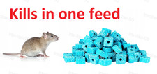 Rat Poison Feed Rat & Mouse