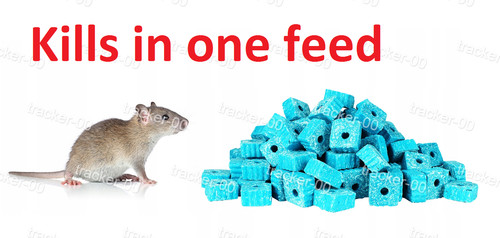 Rat poison feed - poison, &