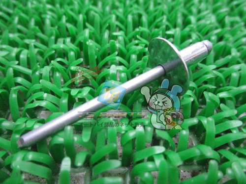 Tz250 blind rivets in stock - rivets,