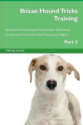 Ibizan hound tricks training - ibizan,