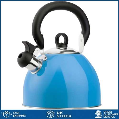 Vibrant blue stainless steel - blue,