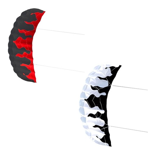 Parafoil kite two - kite, line