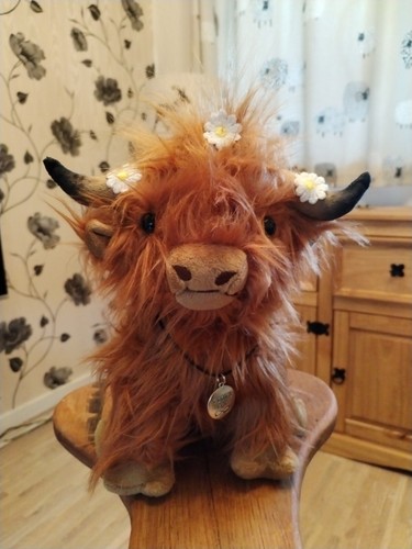 Highland cow cuddly - cow,