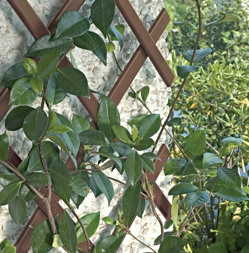 Brown plastic 6ft - x, 40cm
