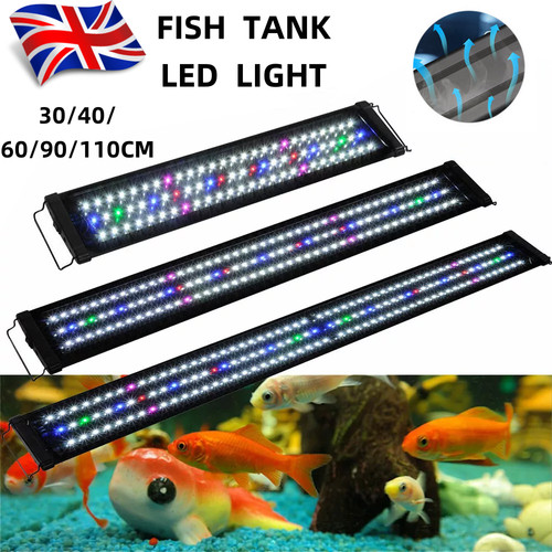 Aquarium fish tank - aquarium, light