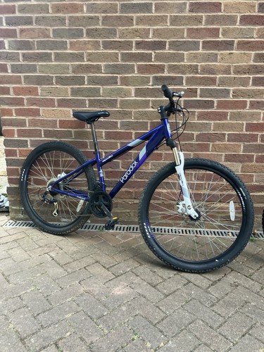 Apollo paradox mountain bike - paradox,