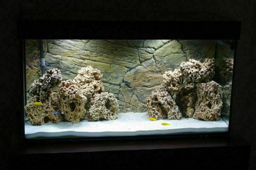 Fish tank rock aquarium - tank,