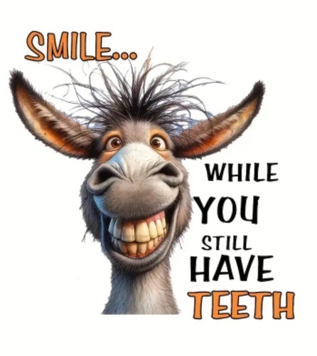 Funny donkey smile waterproof - donkey,