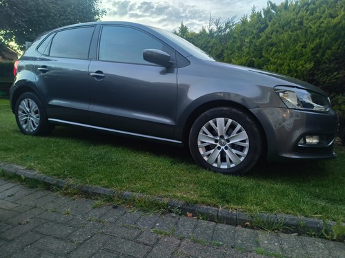 Polo x 100 alloy - 100,