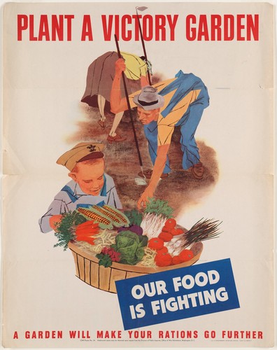 Ww2 plant victory garden - plant,