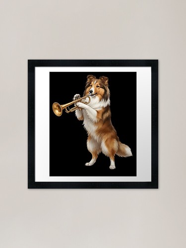 Shetland sheepdog playing - sheepdog,