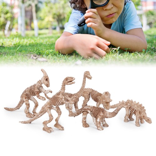 Dinosaur skeleton model - dinosaur,