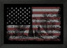 Native american flag framed - american,