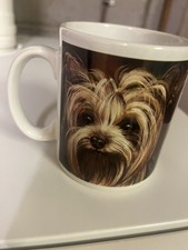 OTTER HOUSE YORKSHIRE TERRIER