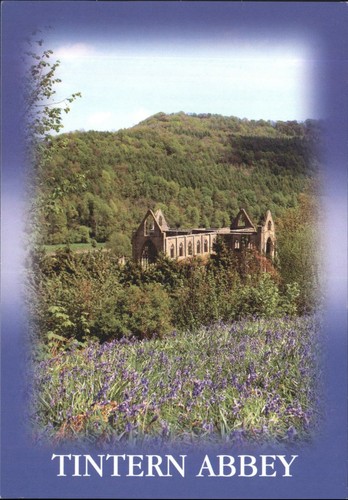 Judges postcard tintern - postcard, abbey