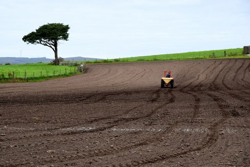 Photo 6x4 sowing - 6x4,