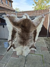 Large Reindeer Hide