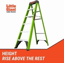 Little giant force - little,