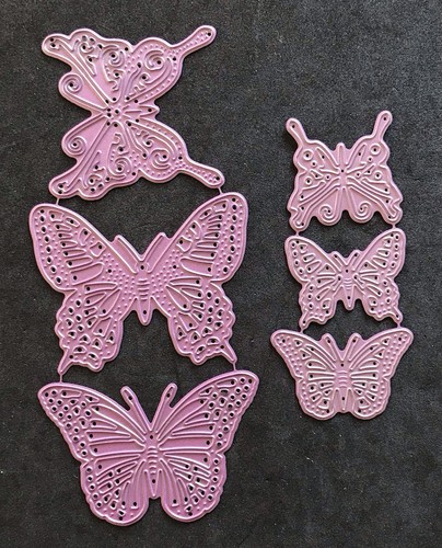 Exotic butterflies sets 3 - exotic,