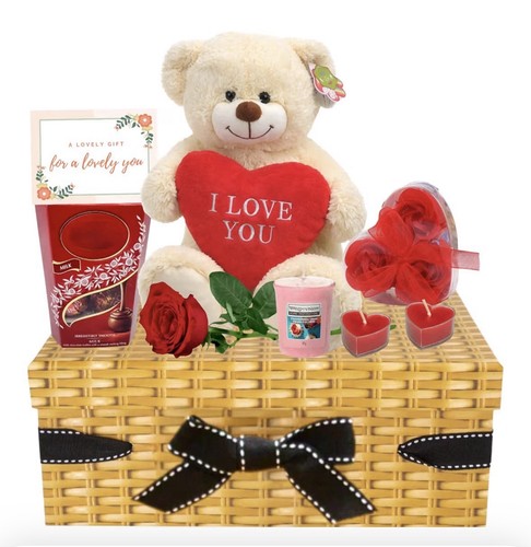 Valentines gifts teddy bear - -,