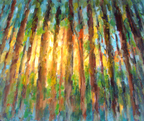 Sunlight forest original - sunlight, at