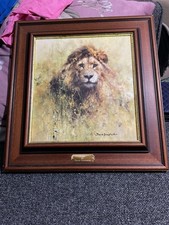 David Shepherd Signed Print The Lion In Dark Oak Frame Excellent Condition
