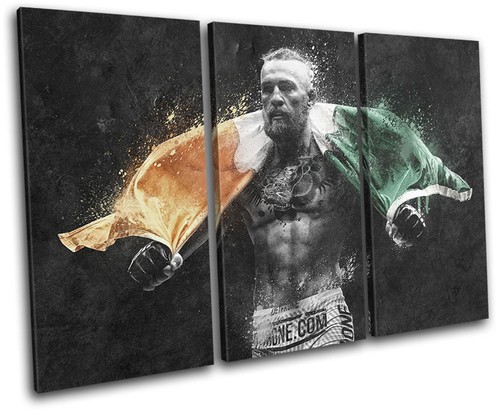 Conor mcgregor ufc mma irish - mcgregor,