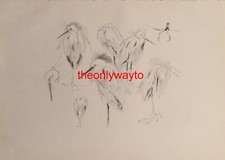 White Egrets, Evert Van