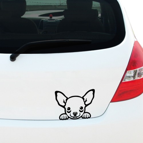 Peeking chihuahua vinyl decal - vinyl,