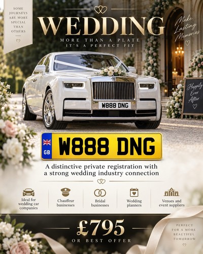 W888 dng wedding car - w888,