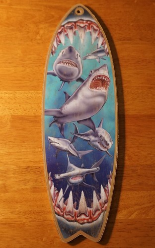 Great white shark - white, teeth