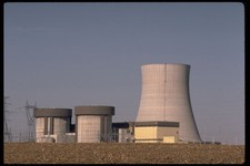 250039 Deactivated Plant A4 Photo Print