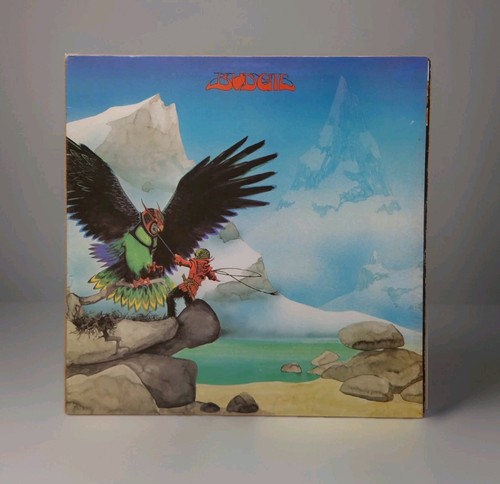 Budgie never turn - 'never, your