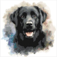 New black labrador gun - new, pup