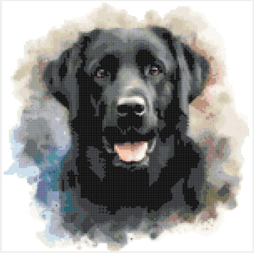 New black labrador gun - labrador,