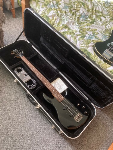 Schecter raiden korean - schecter, made