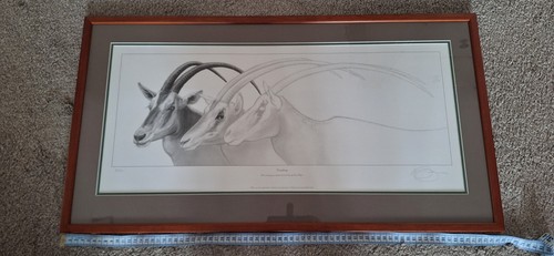 Gary hodges limited edition - gary,