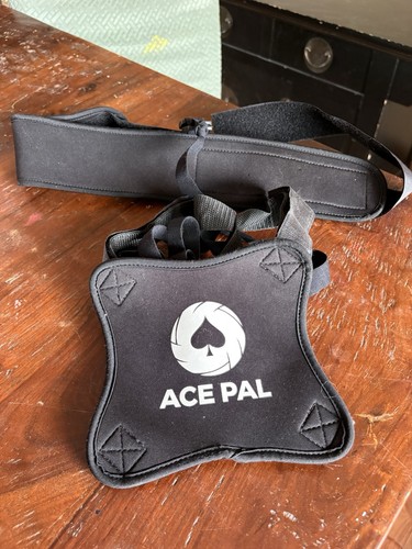 Ace pal volleyball serve - ace,